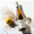 ACABOU DE CHEGAR - CASAS DEL BOSQUE RIESLING BOTANIC SERIES 2024 - Imagem 1