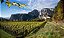 NOVO CONTÊINER -CHARDONNAY RISERVA VIGNA AU 2021 - Imagem 2