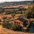 NOVO CONTÊINER - VEDOMARE IGT COSTA TOSCANA BIANCO 2024 - Imagem 2