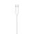 Fone De Ouvido Apple EarPods Mac iPad iPhone Com Conector USB-C Branco - MTJY3BZ/A - Imagem 5