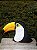 Almofada Tucano - Imagem 1