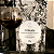 O Druida | Microlote: Bourbon Amarelo - 250g - Imagem 7