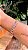 Pulseira riviera em formato flores colorida - Imagem 2