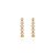 Brinco earhook seis flores - Imagem 1