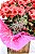 Begônia plantada - Imagem 4