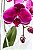Orquídea Phaleanopsis - Imagem 3