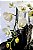 Orquídea Phaleanopsis 2 caixas - Imagem 2