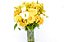 Ouro de Flores Amarelas - Imagem 3
