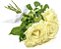 Buquê de Rosas Brancas - 3 ou 6 unidades - Imagem 1