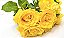 Buquê de Rosas Amarelas - 3 ou 6 unidades - Imagem 2