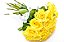 Buquê de Rosas Amarelas - 12, 24 ou 36 unidades - Imagem 1