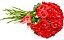 Buquê de Rosas Vermelhas - 12, 24 ou 36 unidades - Imagem 2