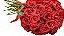 Buquê de Rosas Grande - 48, 50 ou 60 unidades - Imagem 3