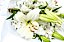 Buquê Elegância de Flores Brancas - Imagem 2