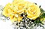 Elegância de Rosas Amarelas - Imagem 3