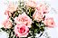 Elegância de Rosas Cor de Rosa - Imagem 4
