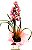 Orquídea Cymbidium - Imagem 1
