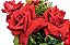 Arranjo de Rosas Vermelhas - Imagem 4