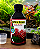 Fertilizante P/Aquário AIO (NPK+ Trace) 500 ml Base Florar - Imagem 4