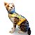 Peitoral para Gatos com Guia Amarela - Imagem 5
