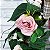 Guirlanda de Galhos - Rosas Cor-de-Rosa 40cm - Imagem 3