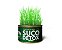 SUCO DETOX - Imagem 1