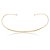Choker Giovanelli Dourado - Imagem 1