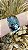 Bracelete Grosso Martelado Rbranco - Imagem 2