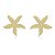 Brinco Estrela Do Mar Dourado - Imagem 1