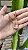 Corrente Puffer L - Imagem 1