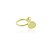 Piercing Sup. Mini Cleide Liso Dourado - Imagem 1