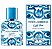 Dolce & Gabbana Ligth Blue Capri In Love Male Eau de Parfum - Imagem 2