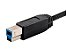 MONOPRICE PALETTE SERIES Cabo USB-C para USB-B 3.0 - 5Gbps, 3A, Braided – M/M – 1,8 m - Imagem 3
