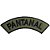 Distintivo Semicircular Bordado de Baixa Visibilidade - Manicaca PANTANAL - Imagem 1