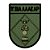 Distintivo de Organização Militar de Baixa Visibilidade - 11ª BIA AAAE AP (11ª Bateria de Artilharia Antiaérea Autoprop) - Imagem 1