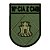 Distintivo de Organização Militar de Baixa Visibilidade - 10ª CIA ENG CMB (10ª Companhia de Engenharia de Combate) - Imagem 1