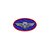 Patch Bordado elipse paraquedista MESTRE DE SALTO 8 x 4,5 cm - Imagem 1
