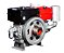 Motor a Diesel Refrigerado a Água 1194CC 22HP com Radiador e Partida Elétrica. - Imagem 1