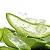 Essência Aloe Vera Lipossolúvel Óleo Concentrada Aromática para Velas, Aromatizadores e Cosméticos - Imagem 2