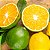 Essência Laranja Com Limão Lipossolúvel Óleo Concentrada Aromática para Velas, Aromatizadores e Cosméticos - Imagem 2