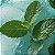 Essência Menta Hidrossolúvel Concentrada Aromática para Sabonetes, Aromatizadores e Cosméticos - Imagem 2