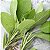 Essência Sálvia e Alecrim Hidrossolúvel Concentrada Aromática para Sabonetes, Aromatizadores e Cosméticos - Imagem 2