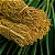 Essência Vetiver Hidrossolúvel Concentrada Aromática para Sabonetes, Aromatizadores e Cosméticos - Imagem 2