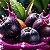 Essência Prime Açaí Concentrada Aromática para Difusor Elétrico 10ml - Imagem 2