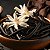 Essência Prime Black Vanilla Concentrada Aromática para Difusor Elétrico 10ml - Imagem 2
