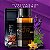 Essência 212 Vip Black Linha Vollmens Perfumaria Fina Concentrada Aromática para Perfumes 30g - Imagem 2