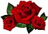 Essência Óleo Concentrada Aromática Rosas Vermelhas 100 ML - Imagem 2