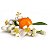 Essência Óleo Concentrada Aromática Flor de Laranjeira 100 ML - Imagem 2