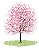 Essência Concentrada Aromática Hidrossolúvel Flor de Cerejeira 1 Litro - Imagem 2
