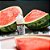 Líquido Juice Salt Plus Series Watermelon Ice - Blvk - Imagem 2